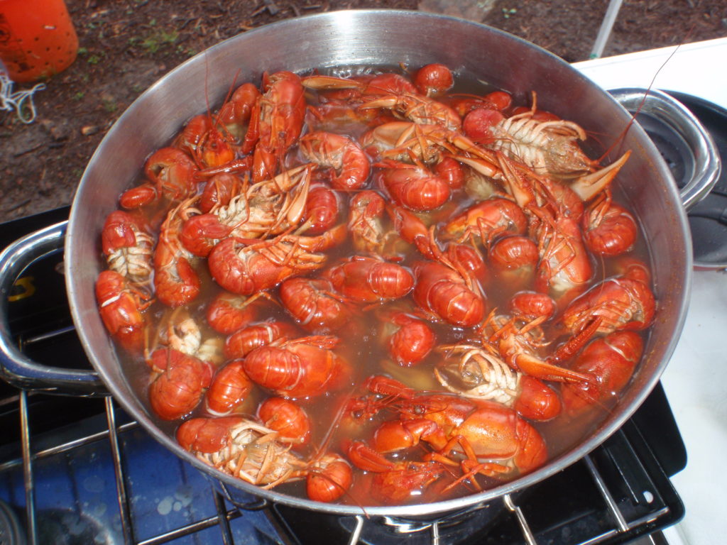 stock pot full of boiled crawdads